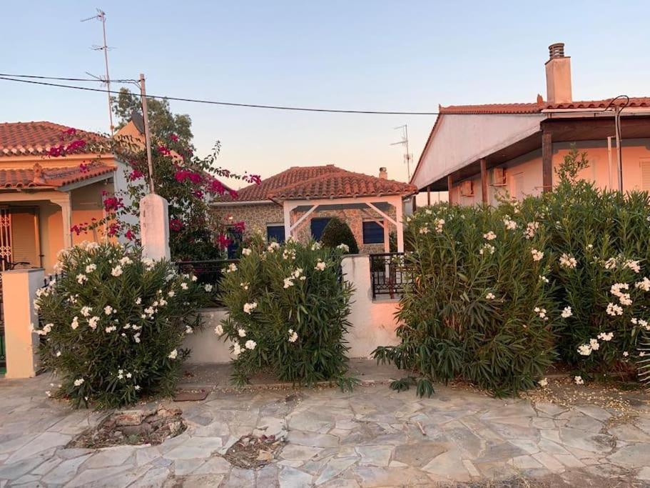 Familienfreundliches Fischerhaus Am Strand Porto Heli Exteriör bild